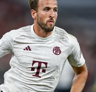 年1月公布 年1月公布