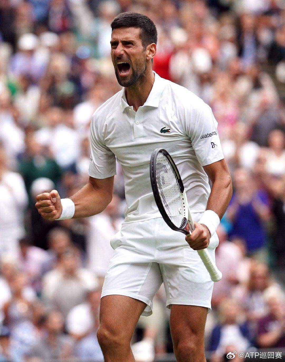 类似凯塞多 类似凯塞多